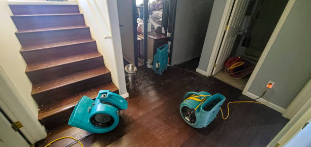 Best Fire Damage Restoration  in West Bend, WI