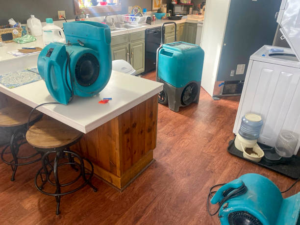 Best Basement water damage restoration  in West Bend, WI