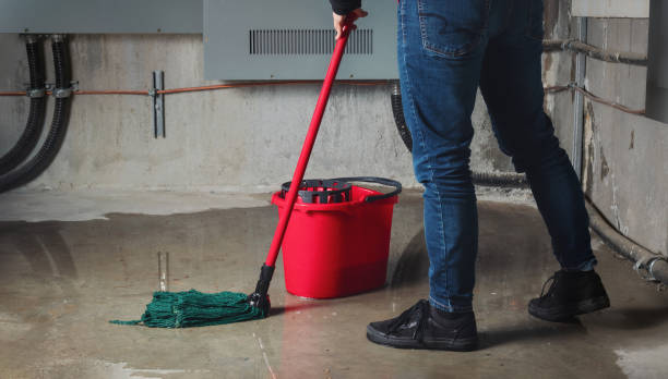 Best 24-hour water damage restoration  in West Bend, WI