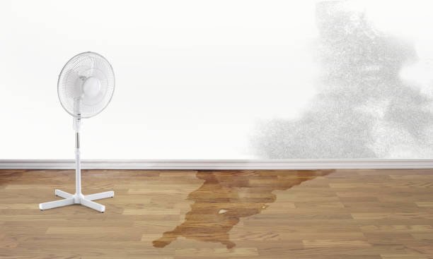 Best 24/7 water damage repair  in West Bend, WI