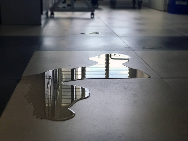Best Commercial water damage restoration  in West Bend, WI
