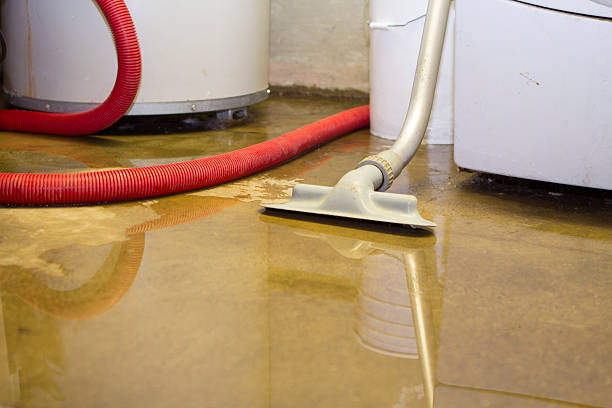 Best Water damage restoration near me  in West Bend, WI