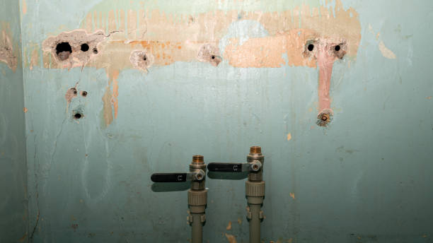 Best 24/7 water damage repair  in West Bend, WI