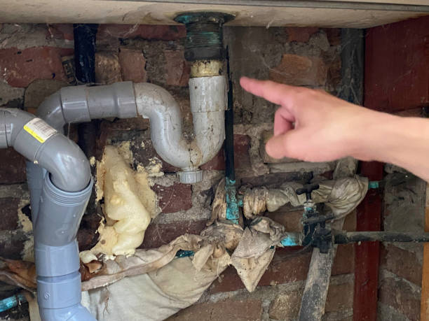 Best Local water damage restoration  in West Bend, WI