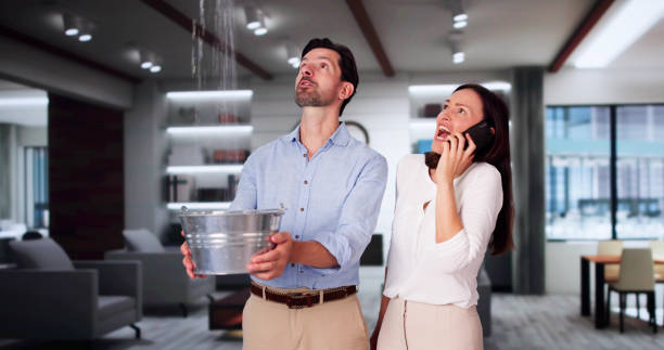 Best Water damage cleanup near me  in West Bend, WI