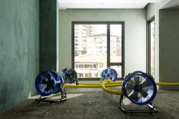 Best Flood restoration services  in West Bend, WI