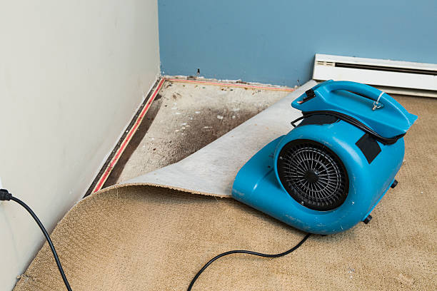 Best Commercial water damage restoration  in West Bend, WI